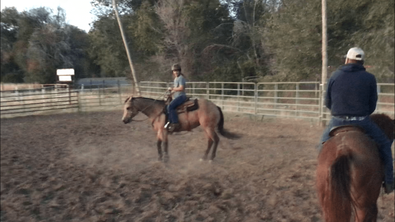 Finding a trainer for lessons